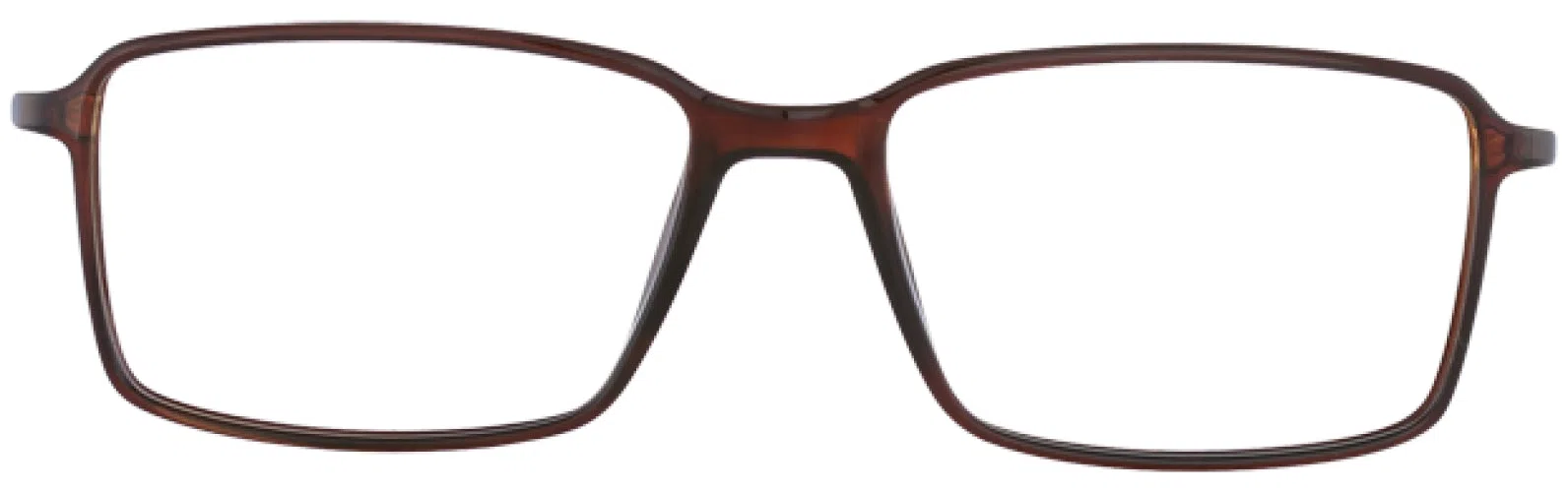 Stetson S325 Eyeglasses - Brown - view 4